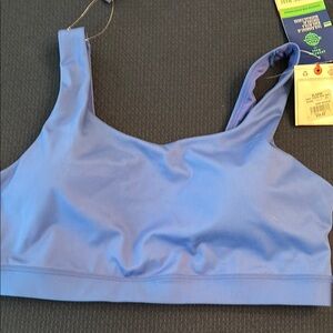 Champion Indigo Sports Bra